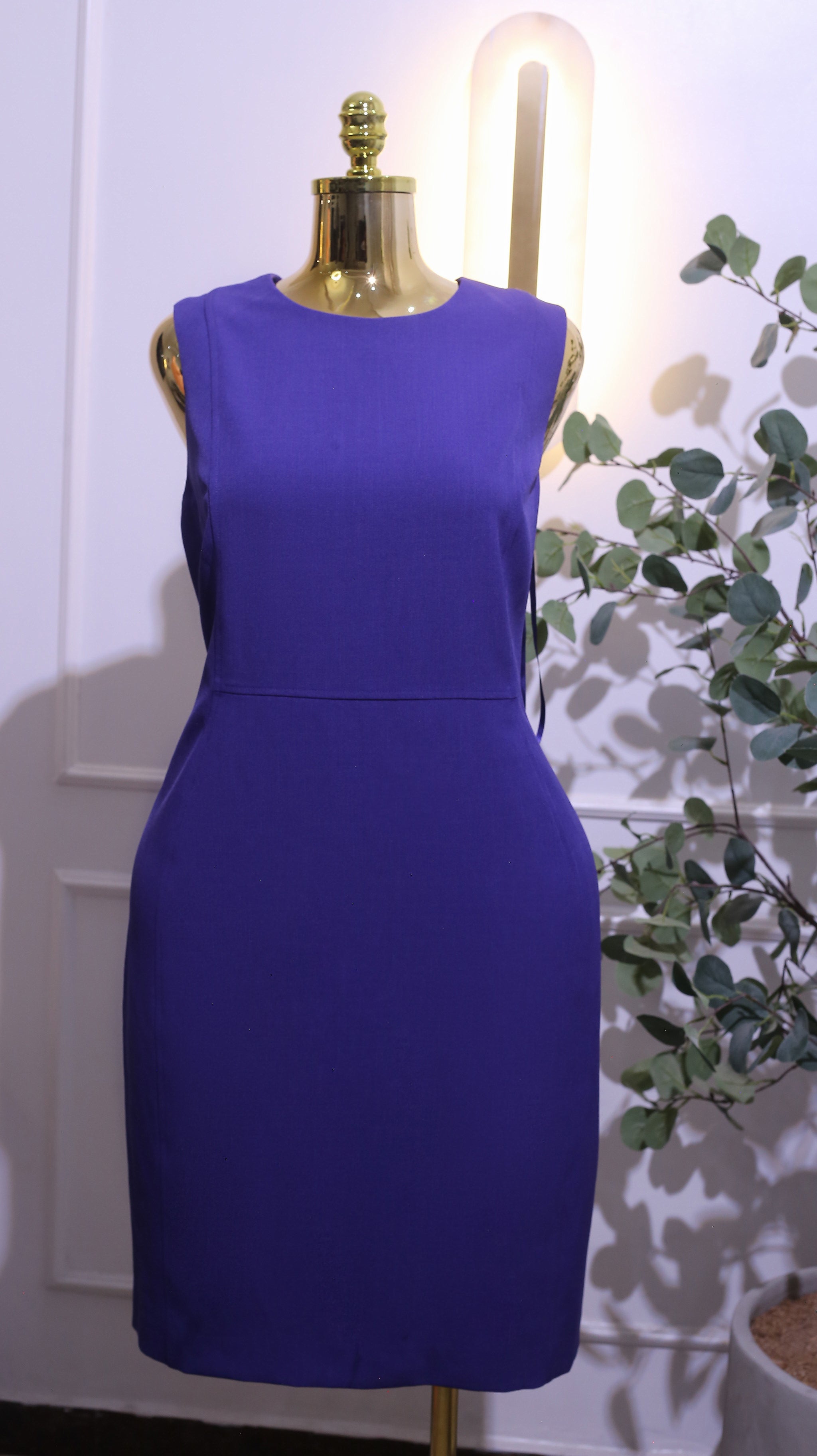 Purple Sleeveless Fitted Classy Dress