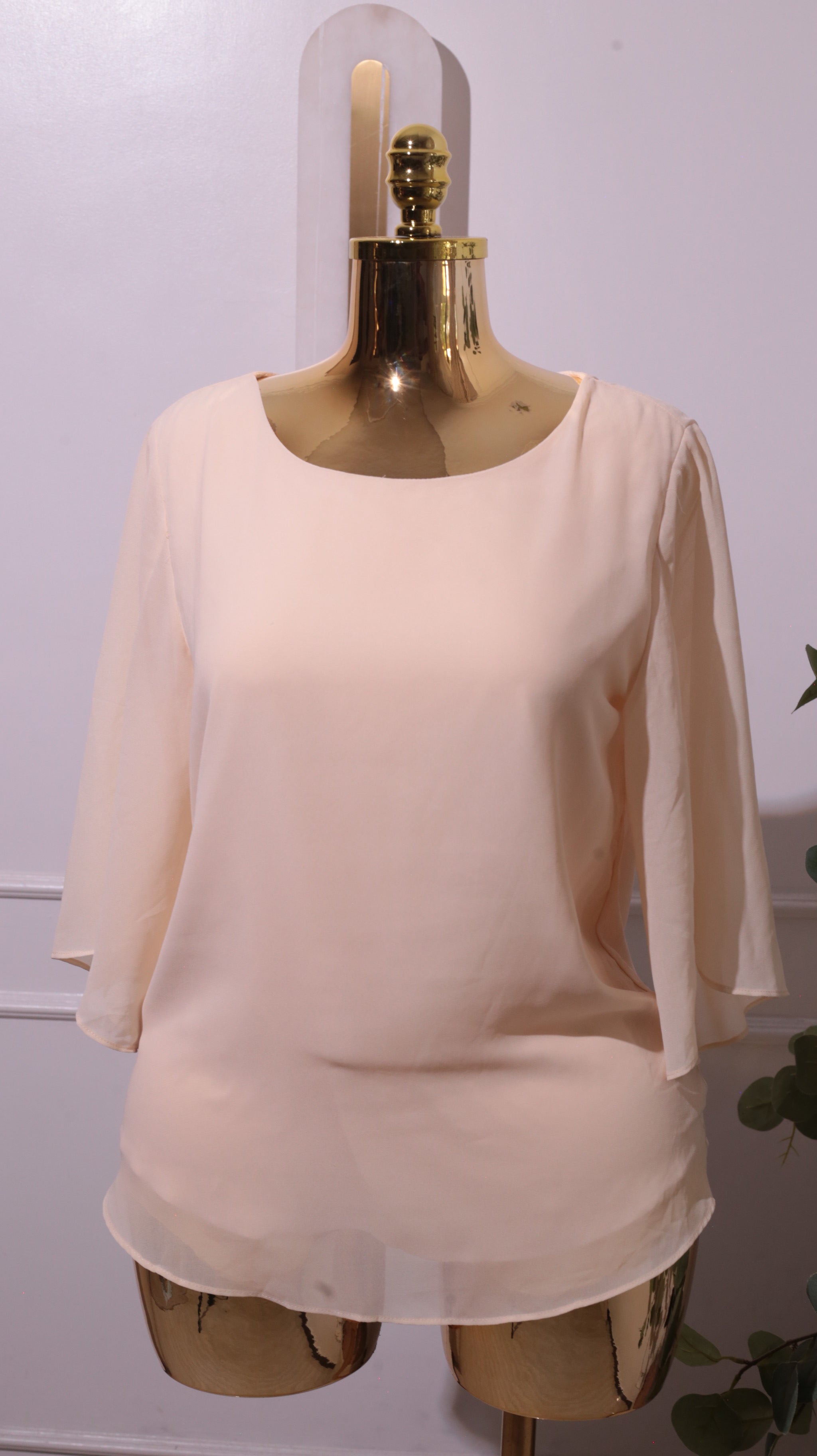 Beige Sheer Chiffon Blouse