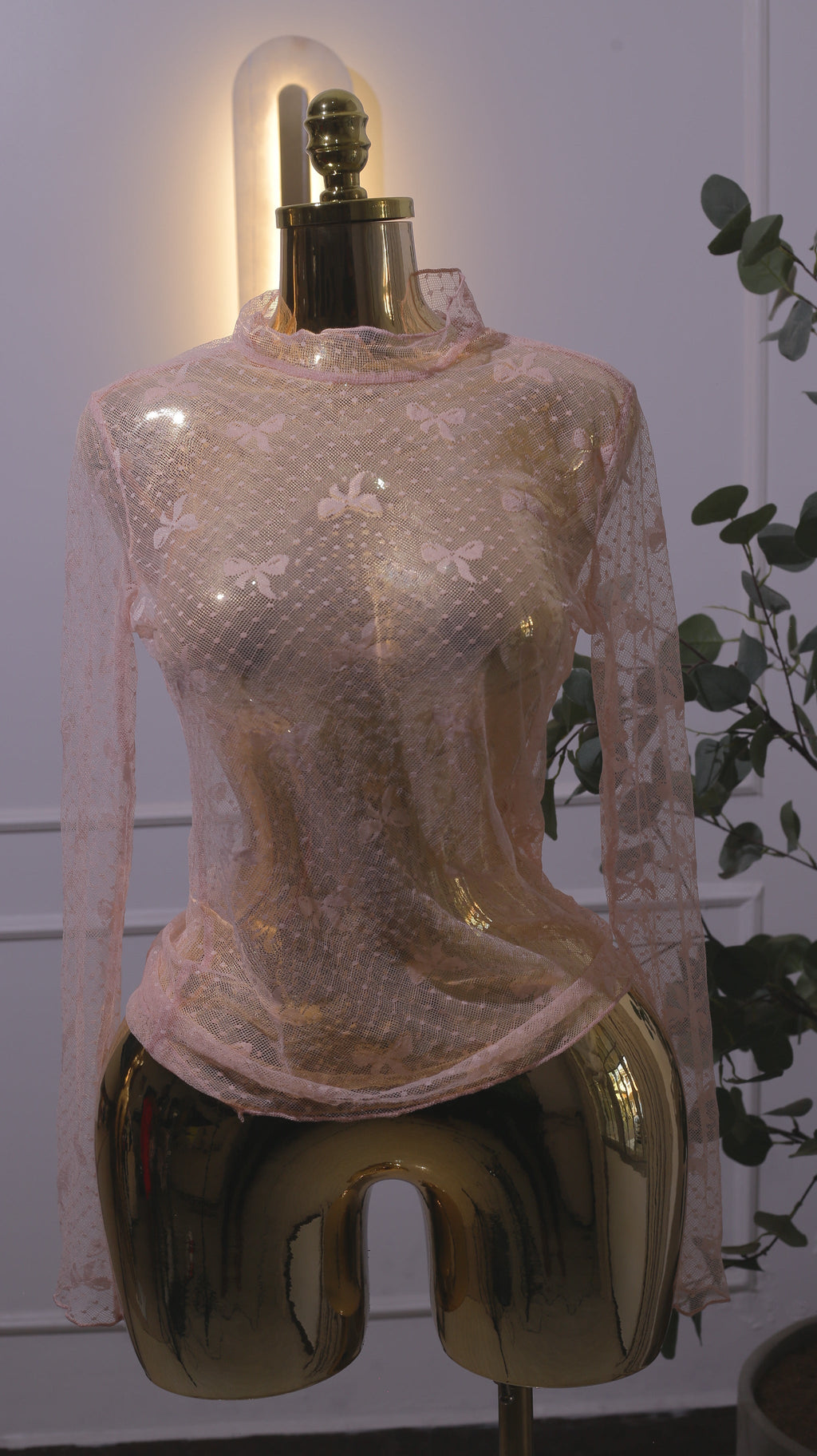 Blush Sheer Lace Long-Sleeve Top