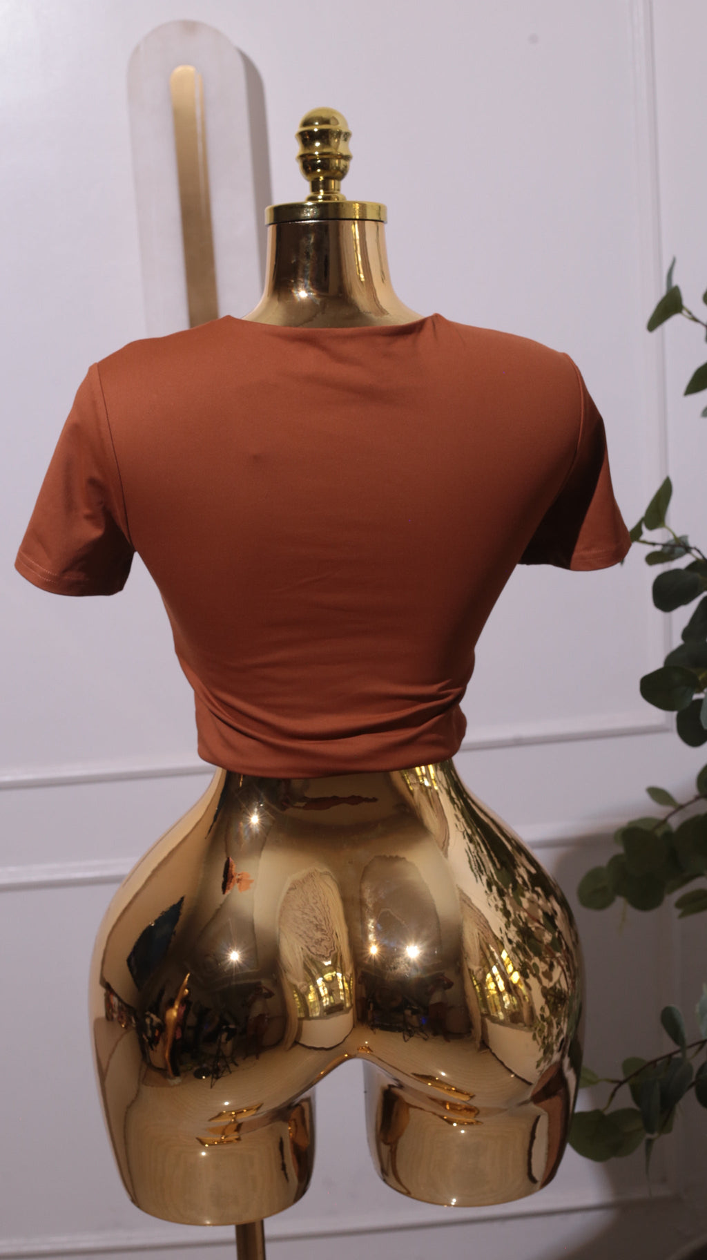 Brown Short-sleeved Crop Top