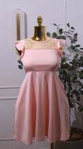 Pink Mesh Ruffle Sleeve Dress