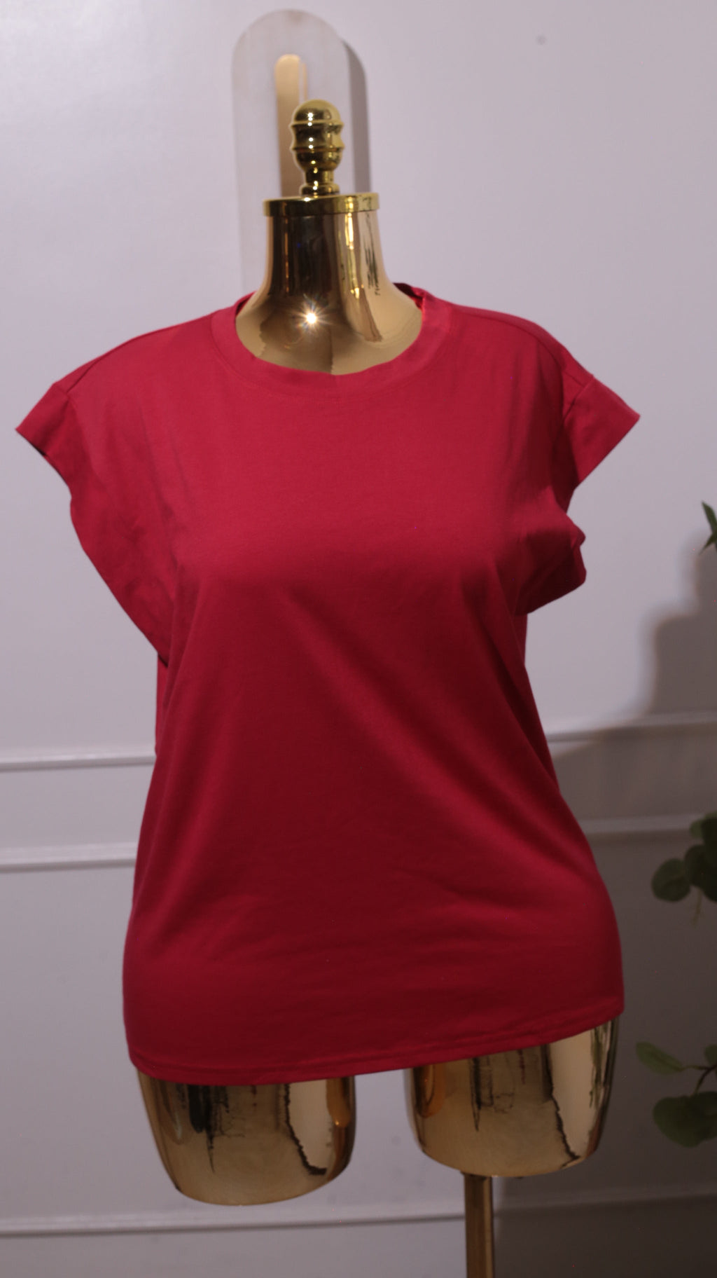 Red Sleeveless Shirt